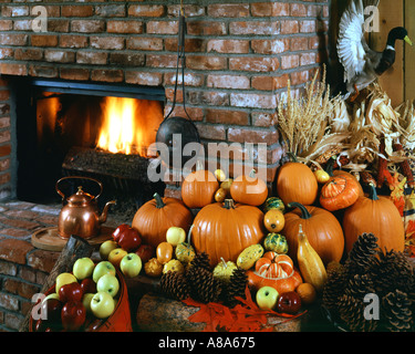Raccolta ancora vita con camino variopinto Foto Stock