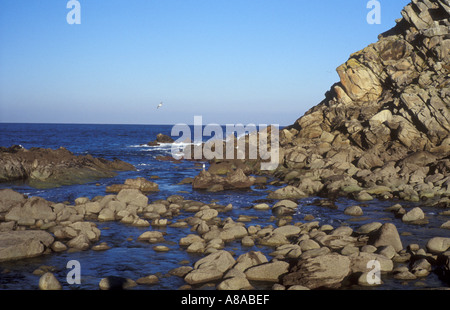 PRESTIGE fuoriuscite di olio paesaggio del monoblocco lato della posizione dell'isola Isole Cies Ria de Vigo Galizia Spagna Foto Stock