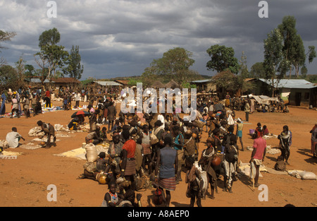 Mercato dove Hamer , Bana e Ari gli abitanti di un villaggio di venire a vendere le loro merci , Key Afer , a sud della valle dell'Omo , Etiopia Foto Stock