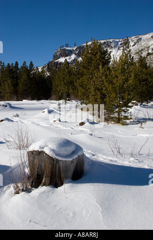 Paesaggio invernale in Deschutes National Forest vicino a tre insenature LAKE ROAD SORELLE OREGON Foto Stock