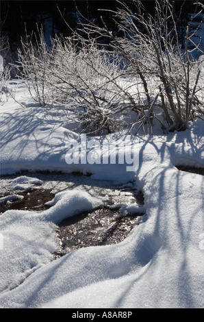 Congelati Creek in Deschutes National Forest vicino a tre insenature LAKE ROAD SORELLE OREGON Foto Stock