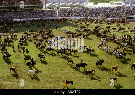 Il Grand Parade all'apertura del Sydney Royal Easter Show in Homebush Foto Stock