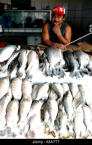 In un mercato del pesce in Venezuela del Orinoco città di Ciudad Bolivar un pescatore vende un pesce chiamato boca chica, piccola bocca Foto Stock