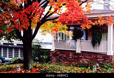 Albero in cortile anteriore con foglie di autunno newfane vermont - USA Foto Stock