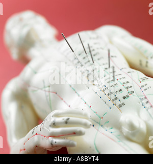 Modello anatomico per agopuntura Foto Stock