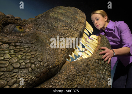 Testa di un Tirannosauro Rex per la mostra presso il Museo Nazionale delle gallerie di South Wales Cardiff Regno Unito Foto Stock