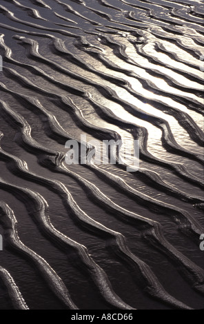 Increspature di sabbia sulla spiaggia di Swansea, Wales, Regno Unito Foto Stock