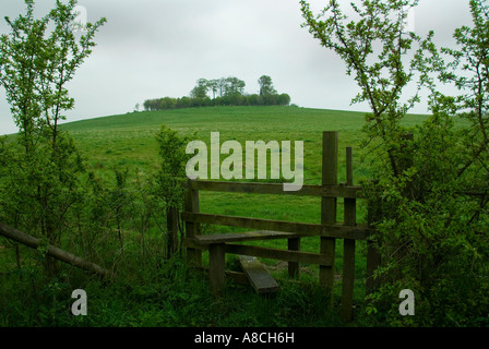 Stile stile Wittenham Gate grumi Oxfordshire su un Nuvoloso Giorno Foto Stock