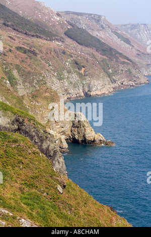 Regno Unito Lundy Island vista lungo la costa est da sbarco beach road Foto Stock