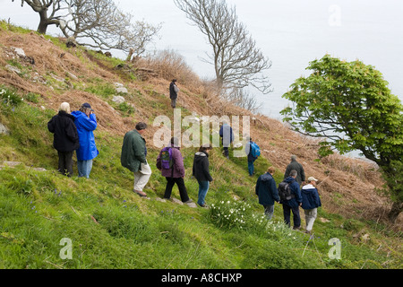 Regno Unito Lundy Island operaio leader natura guidata a piedi sulla east coast path Foto Stock