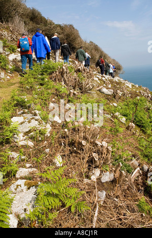 Regno Unito Lundy Island operaio leader natura guidata a piedi attraverso il taglio di rododendro stand Foto Stock