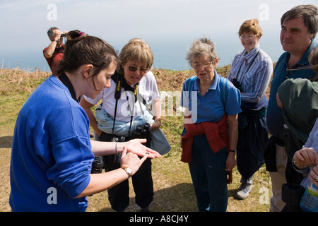 Regno Unito Lundy Island operaio che mostra i turisti Minotauro Beetle nel palmo della sua mano Foto Stock