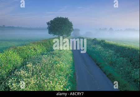 Vicolo del paese Charlton Horethorne Somerset England Regno Unito Foto Stock