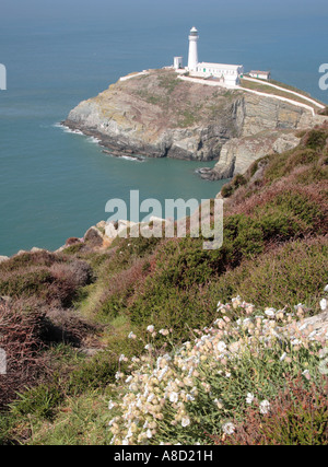 Sud pila faro, Angelsey, Isola Santa, Gwynedd,il Nord del Galles, Inghilterra, Europa Foto Stock