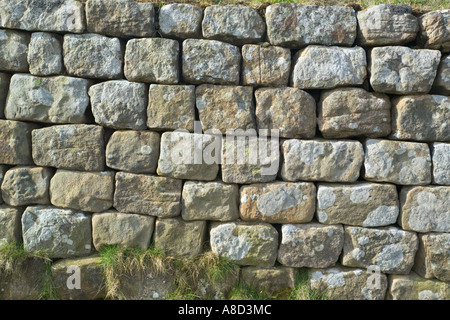 Close up delle pietre della parete di Adriano nei pressi di Rigg in acciaio, Northumberland Foto Stock