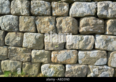 Close up delle pietre della parete di Adriano nei pressi di Rigg in acciaio, Northumberland Foto Stock