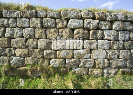 Close up delle pietre della parete di Adriano nei pressi di Rigg in acciaio, Northumberland Foto Stock