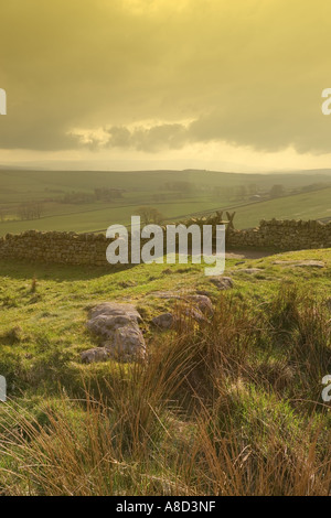 Parete di Adriano nei pressi di Rigg in acciaio, Northumberland Foto Stock