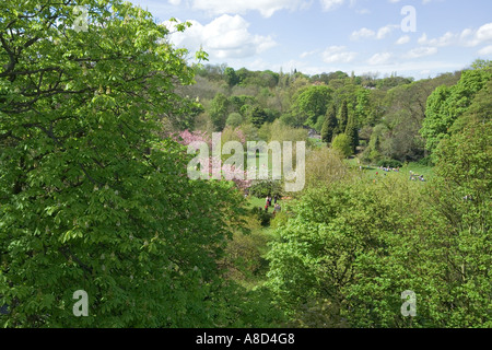 Jesmond Dene, Newcastle upon Tyne, Tyne & Wear Foto Stock