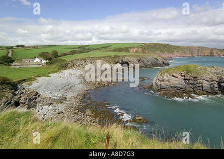 Visualizzare NE DA Stackpole Quay, Pembrokeshire, Galles Foto Stock