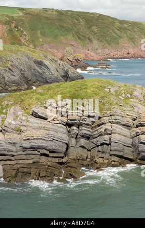 Visualizzare NE DA Stackpole Quay, Pembrokeshire, Galles Foto Stock