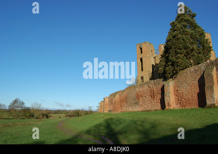 Rovina del castello all'alba Foto Stock