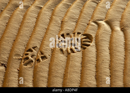 Impronta su un variegato spiaggia sabbiosa Foto Stock
