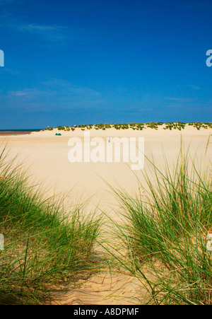 Pozzetti accanto il mare spiaggia Norfolk Inghilterra Foto Stock