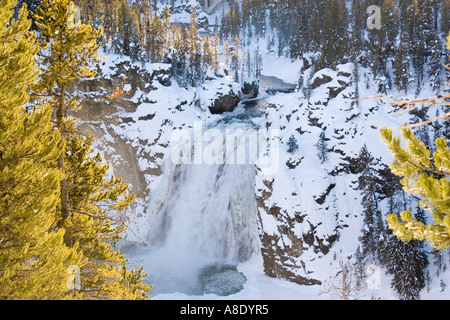 Upper Falls del Yellowstone River Foto Stock