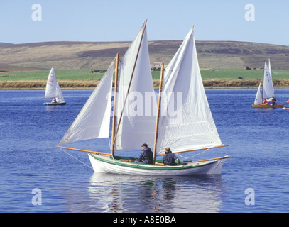 dh Longhope Regatta HOY ORKNEY Orkney tradizionale Yole barche a vela bianco foglio vele barca scozia mare Foto Stock