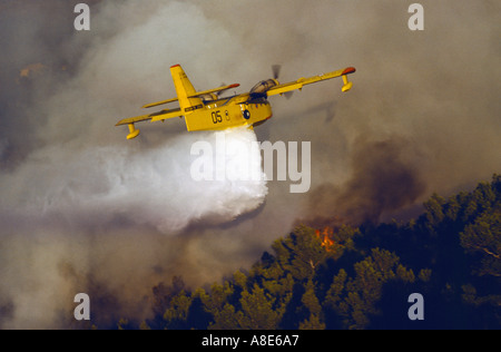 Vista aerea di un Canadair idrica antincendio aereo bombardiere spegnimento acqua su un wildfire, fiamme, foresta incendio fumo, Provenza, Francia, Europa Foto Stock