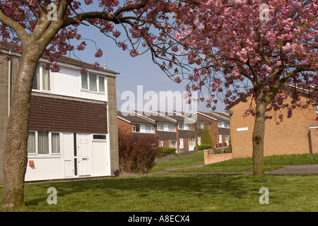 Cheshire Stockport Offerton Kelsbrook Corte dal luogo Crowsdale con alberi in fiore Foto Stock