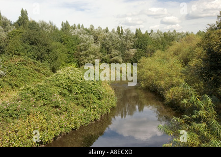 Cheshire Stockport domare il fiume che scorre attraverso il colore rossastro Vale Country Park Foto Stock
