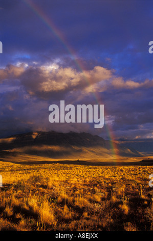 Rainbow colpisce la steppa vicino a Mt. "Fitz Roy', Parco nazionale Los Glaciares, Santa Cruz, Patagonia, Argentina Foto Stock