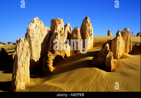 I Pinnacoli Nambung National Park cervantes Australia Occidentale Foto Stock