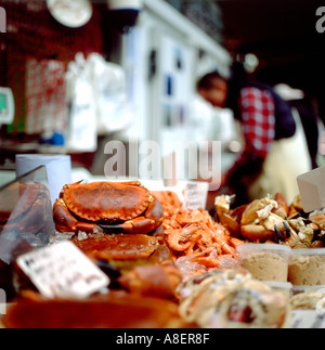 Granchi Gamberetti gamberi frutti di mare per la vendita su un pesce di stallo a Borough Market Londra Inghilterra KATHY DEWITT Foto Stock