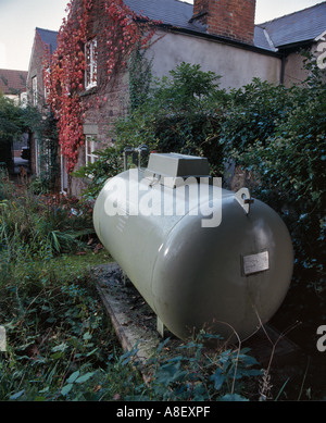 Domestico di gas propano SERBATOIO IN GARDEN REGNO UNITO Foto Stock