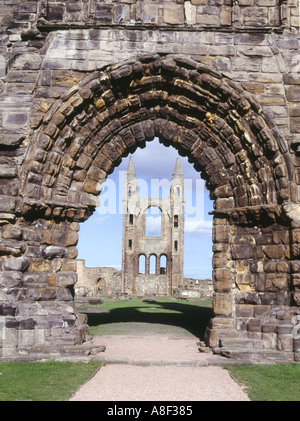 Dh Cattedrale St Andrews Fife entrata principale arch parete est torri Foto Stock