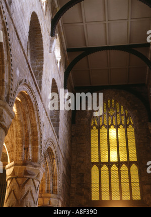 Dh Abbazia di Dunfermline FIFE Windows archi e soffitto Foto Stock