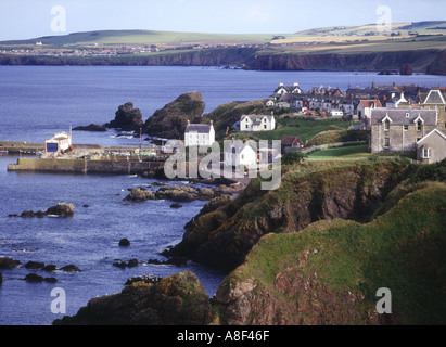 dh Berwickshire scozia costa ST ABBS CONFINI villaggio di pesca case porto sulla scogliera costa rocciosa pianure scozzesi Foto Stock