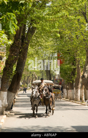 Cavallo e Carrozza a Buyukada, uno dei principi isole, Turchia Foto Stock