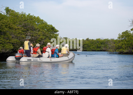 Un gruppo di turisti a guardare e fotografare la fauna selvatica fuori costa al Elizabeth Bay Foto Stock