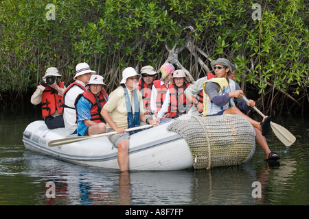 Un gruppo di turisti a guardare e fotografare la fauna selvatica fuori costa al Elizabeth Bay Foto Stock