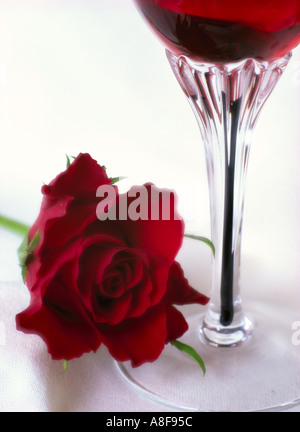 Red Rose fiore e vino rosso vino in vetro su uno sfondo bianco Foto Stock