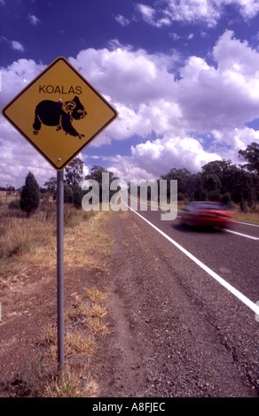 Avviso di strada segno raffigurante un koala Phascolarctos cinereus accanto a una strada outback Australia Foto Stock