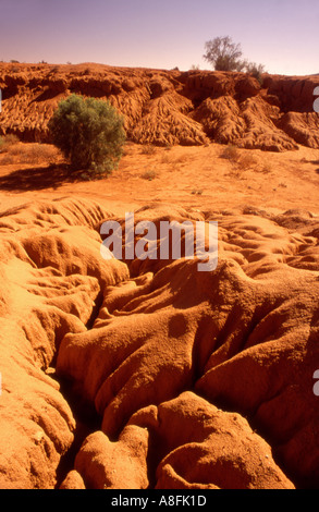 Canali scavati in rosso per il suolo outback accanto a un alveo secco nell'outback australiano Foto Stock