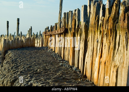 In legno antico le difese del mare su Walney Island, vicino a Barrow in Furness, Cumbria, England, Regno Unito Foto Stock