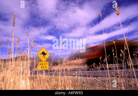 Cartello stradale avvertenza raffigurante un canguro in questo esempio su sci aggiunto dal pubblico con carrello passante Kosciuszko National Park Foto Stock