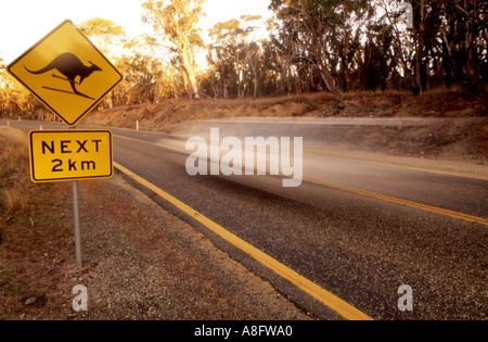 Cartello stradale avvertenza raffigurante un canguro in questo esempio su sci aggiunto dal pubblico con carrello passante Kosciuszko National Park Foto Stock