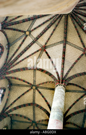 Toulouse Francia, Interior monumento religioso chiesa cattolica Couvent des giacobini dettaglio XIII secolo soffitto a volte le Palmier Foto Stock